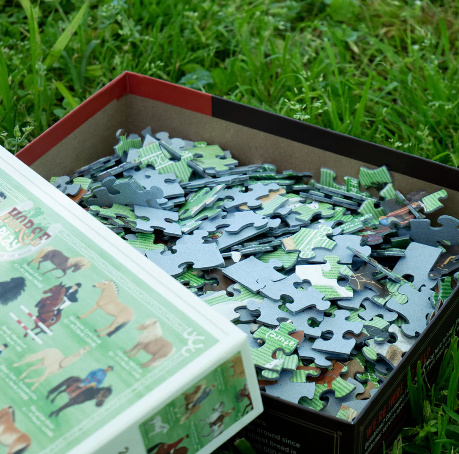 500 Piece Puzzle -Horse Play