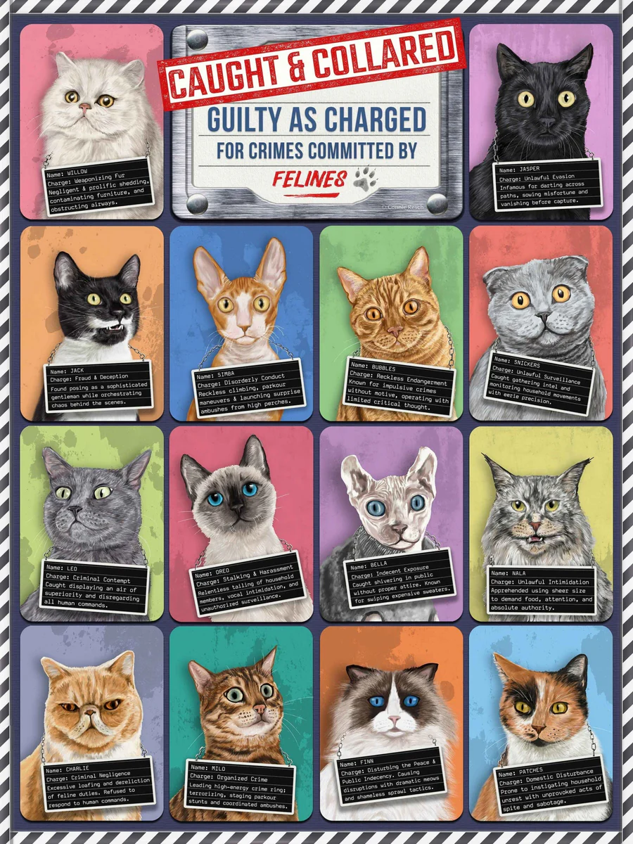500 Piece Puzzle -- Caught & Collared Cats