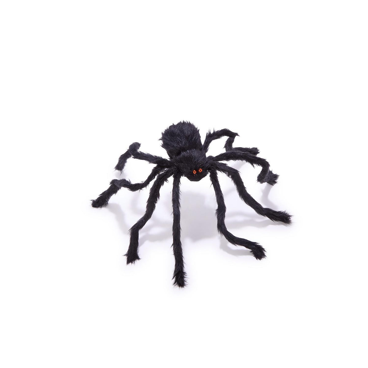 Small Furry Tarantulas Spiders with Bendable Legs