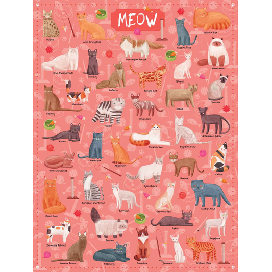 500 Piece Puzzle -- Meow
