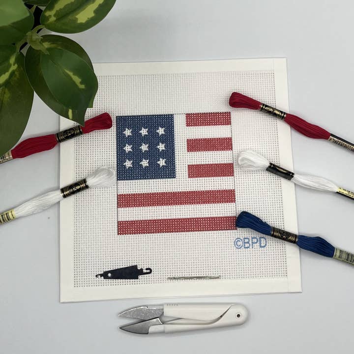 USA Flag Needlepoint Kit