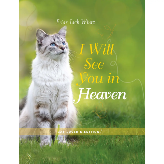 I Will See You in Heaven Cats