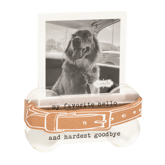 Favorite Collar Memorial Frame