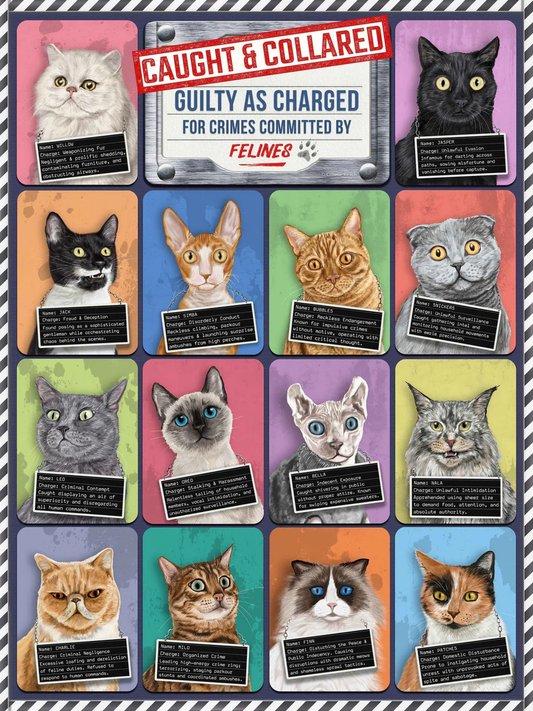 500 Piece Puzzle -- Caught & Collared Cats