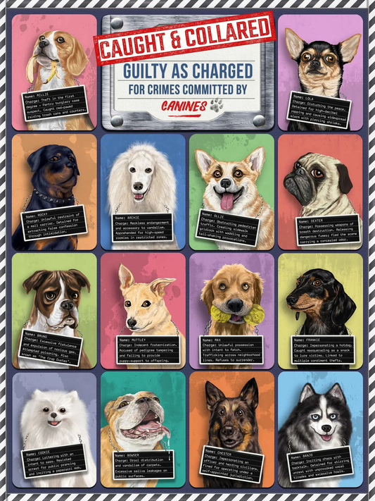 500 Piece Puzzle -- Caught & Collared Dogs